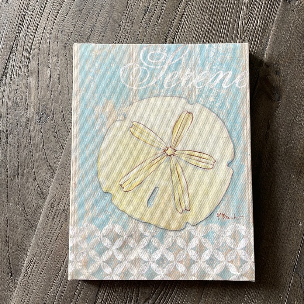 Seashell Wall Decor